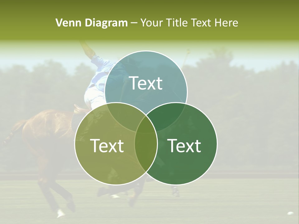 Polo PowerPoint Template