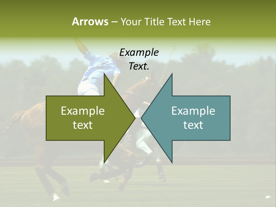 Polo PowerPoint Template