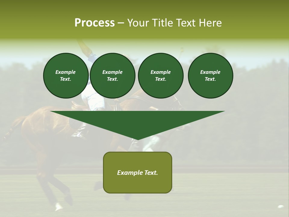Polo PowerPoint Template