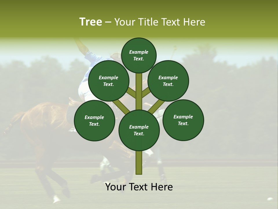 Polo PowerPoint Template