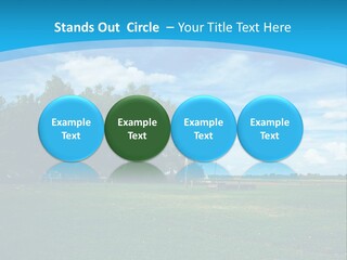 3D Render Abstract Texture Background PowerPoint Template