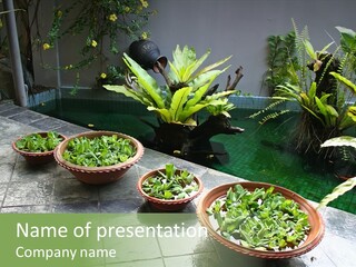 Pot With Floating Plants In Balinese Architectural Style PowerPoint Template