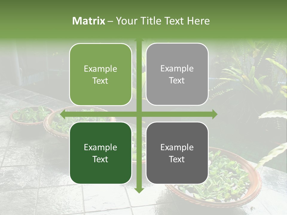 Pot With Floating Plants In Balinese Architectural Style PowerPoint Template