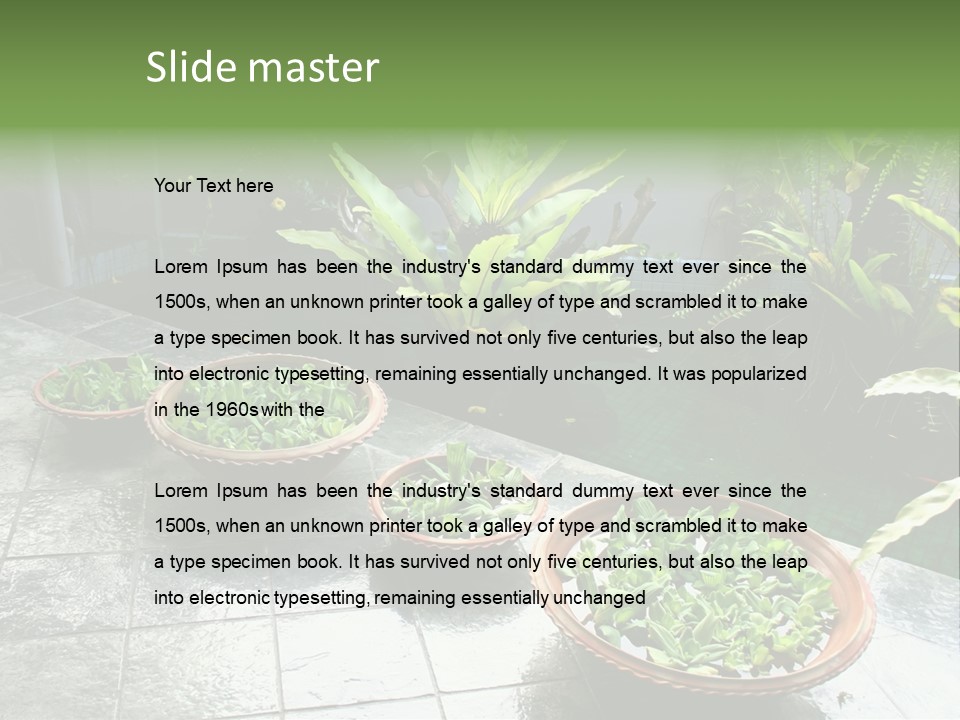 Pot With Floating Plants In Balinese Architectural Style PowerPoint Template