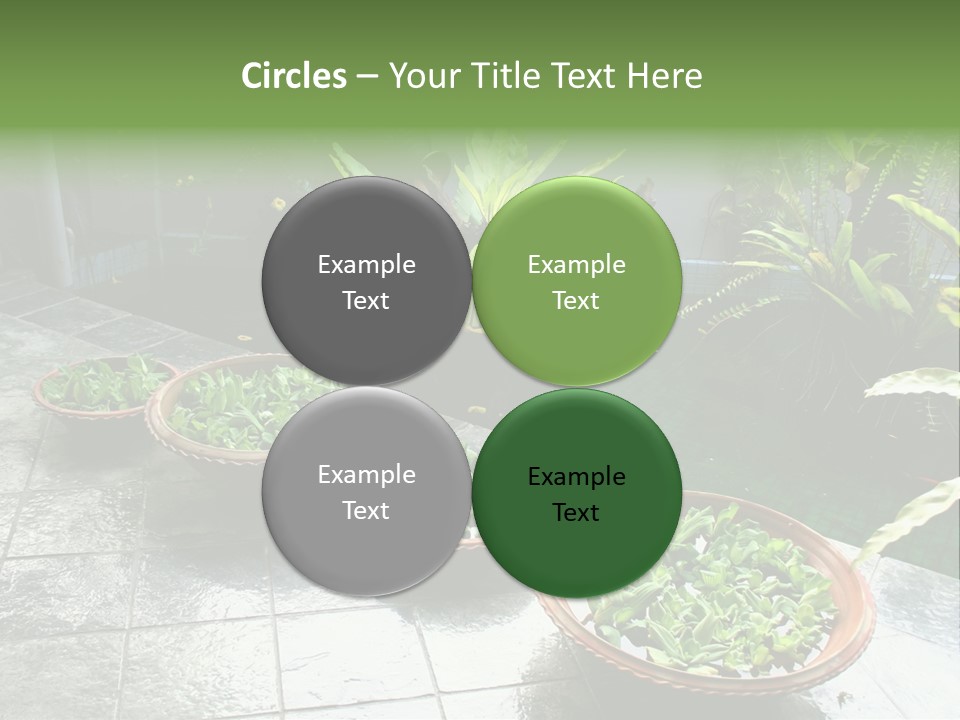Pot With Floating Plants In Balinese Architectural Style PowerPoint Template