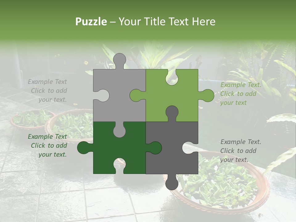 Pot With Floating Plants In Balinese Architectural Style PowerPoint Template