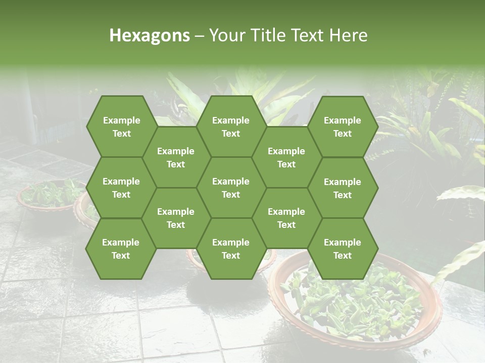 Pot With Floating Plants In Balinese Architectural Style PowerPoint Template