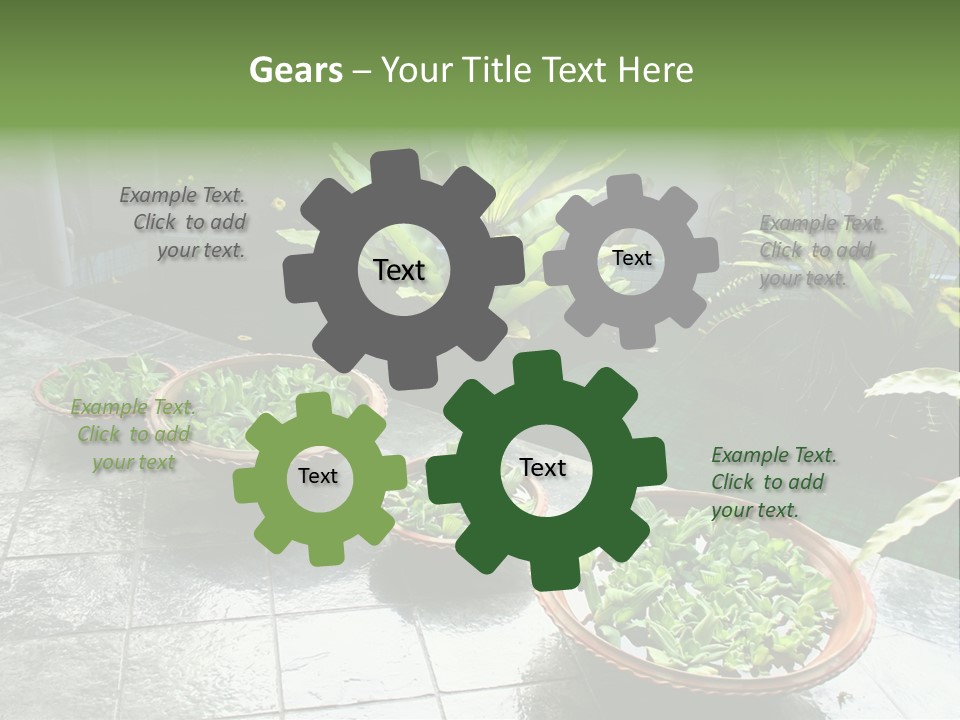 Pot With Floating Plants In Balinese Architectural Style PowerPoint Template