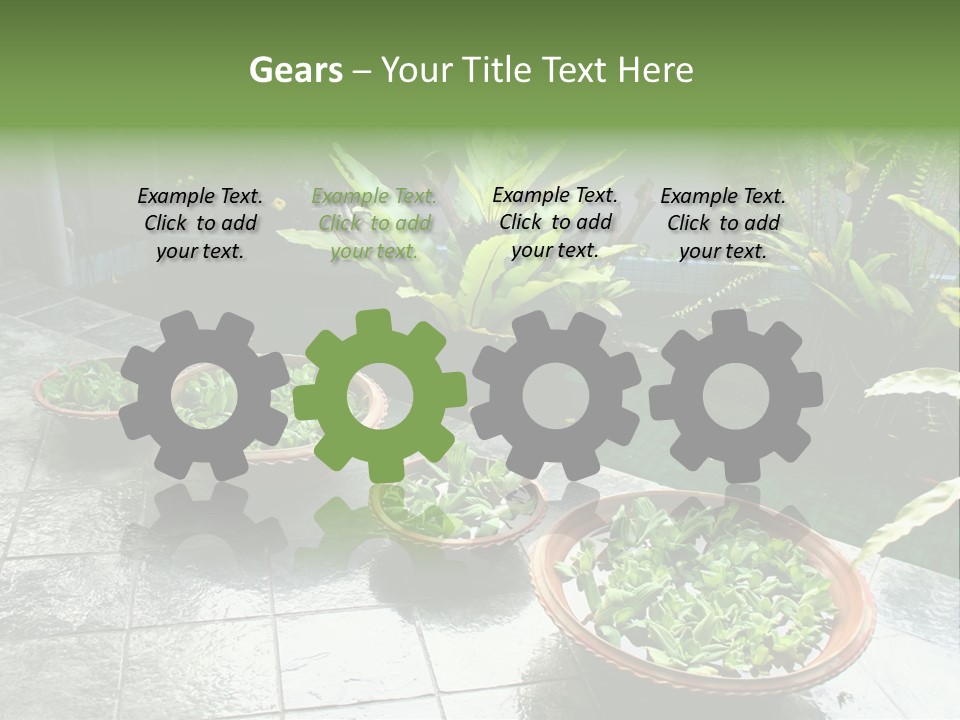 Pot With Floating Plants In Balinese Architectural Style PowerPoint Template