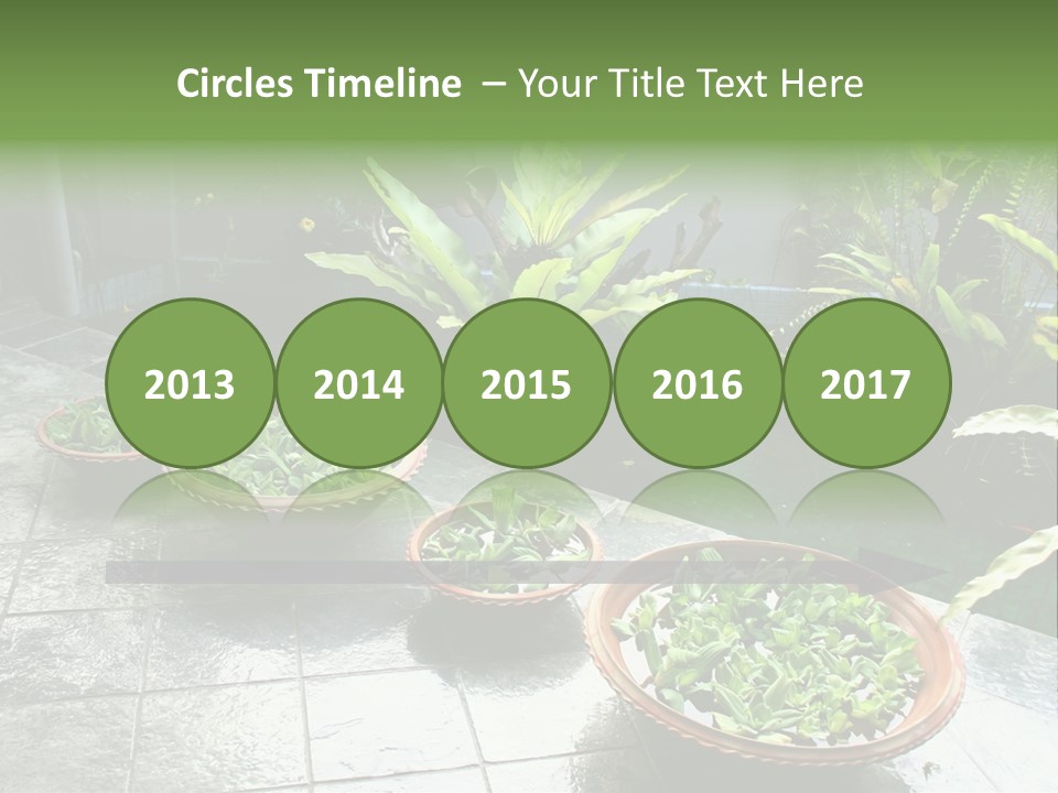 Pot With Floating Plants In Balinese Architectural Style PowerPoint Template