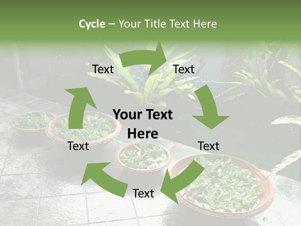 Pot With Floating Plants In Balinese Architectural Style PowerPoint Template