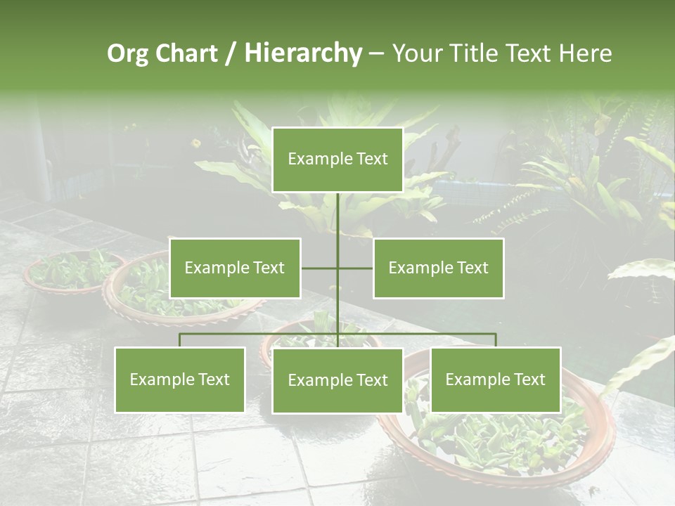 Pot With Floating Plants In Balinese Architectural Style PowerPoint Template