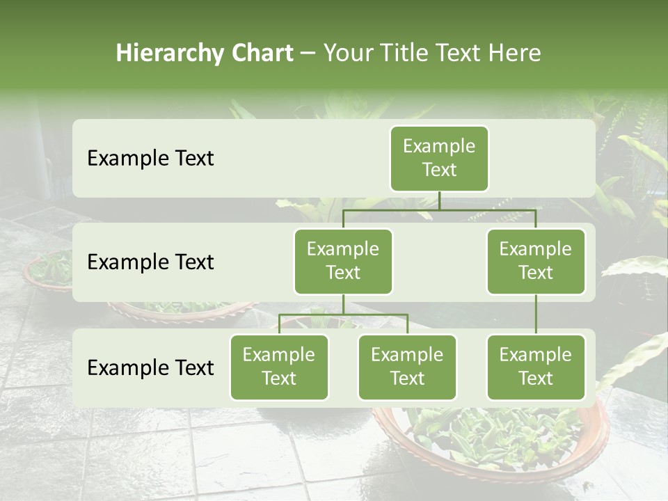 Pot With Floating Plants In Balinese Architectural Style PowerPoint Template