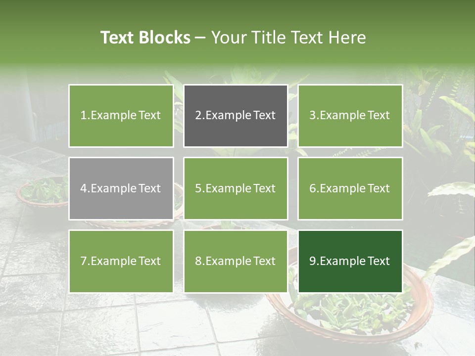 Pot With Floating Plants In Balinese Architectural Style PowerPoint Template