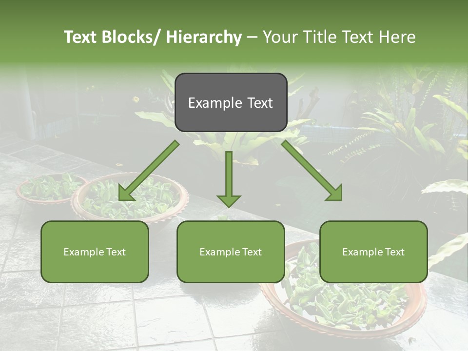 Pot With Floating Plants In Balinese Architectural Style PowerPoint Template