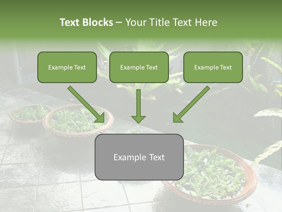 Pot With Floating Plants In Balinese Architectural Style PowerPoint Template