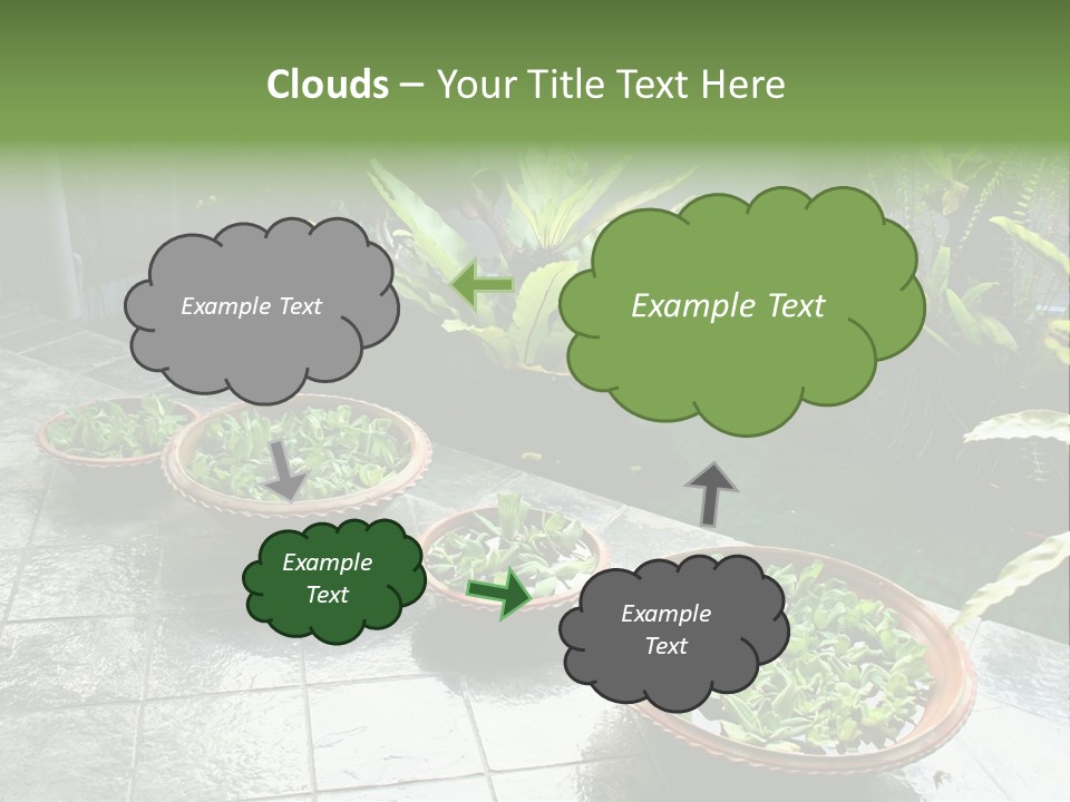 Pot With Floating Plants In Balinese Architectural Style PowerPoint Template