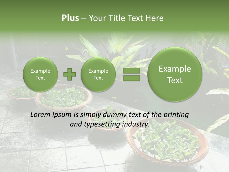 Pot With Floating Plants In Balinese Architectural Style PowerPoint Template