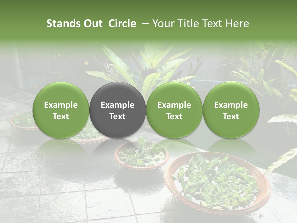 Pot With Floating Plants In Balinese Architectural Style PowerPoint Template