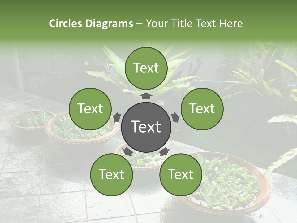 Pot With Floating Plants In Balinese Architectural Style PowerPoint Template