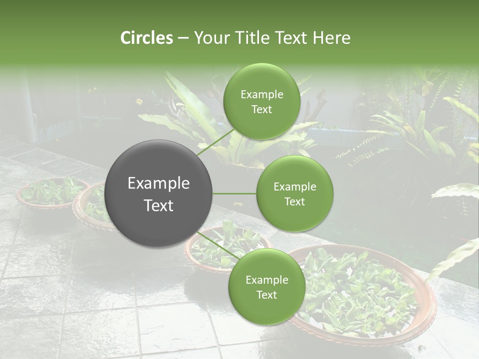 Pot With Floating Plants In Balinese Architectural Style PowerPoint Template