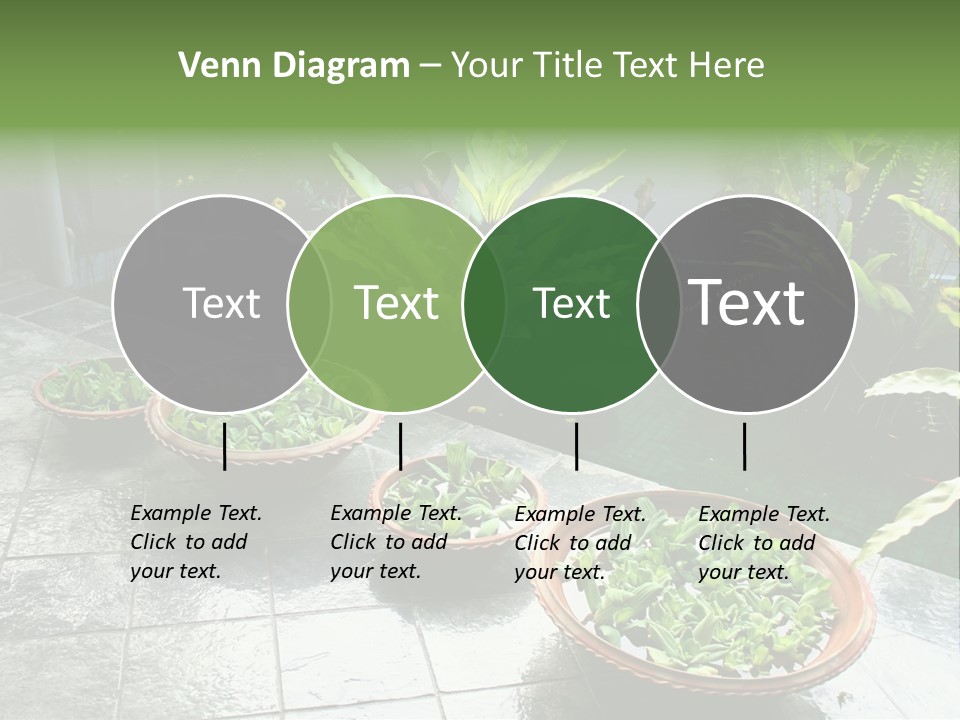 Pot With Floating Plants In Balinese Architectural Style PowerPoint Template