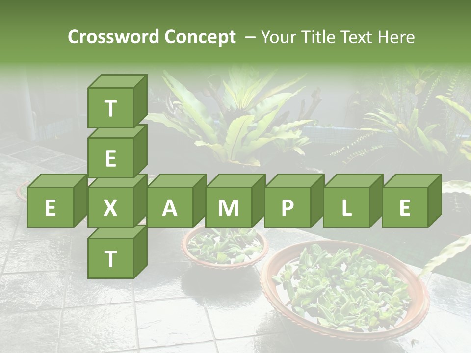 Pot With Floating Plants In Balinese Architectural Style PowerPoint Template