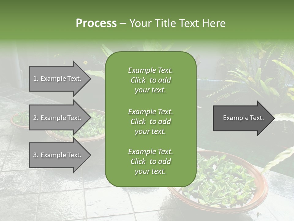 Pot With Floating Plants In Balinese Architectural Style PowerPoint Template