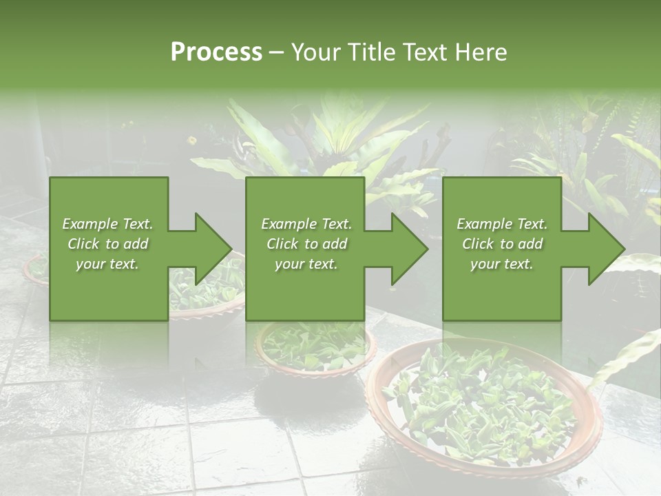 Pot With Floating Plants In Balinese Architectural Style PowerPoint Template