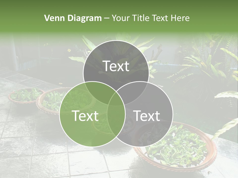 Pot With Floating Plants In Balinese Architectural Style PowerPoint Template