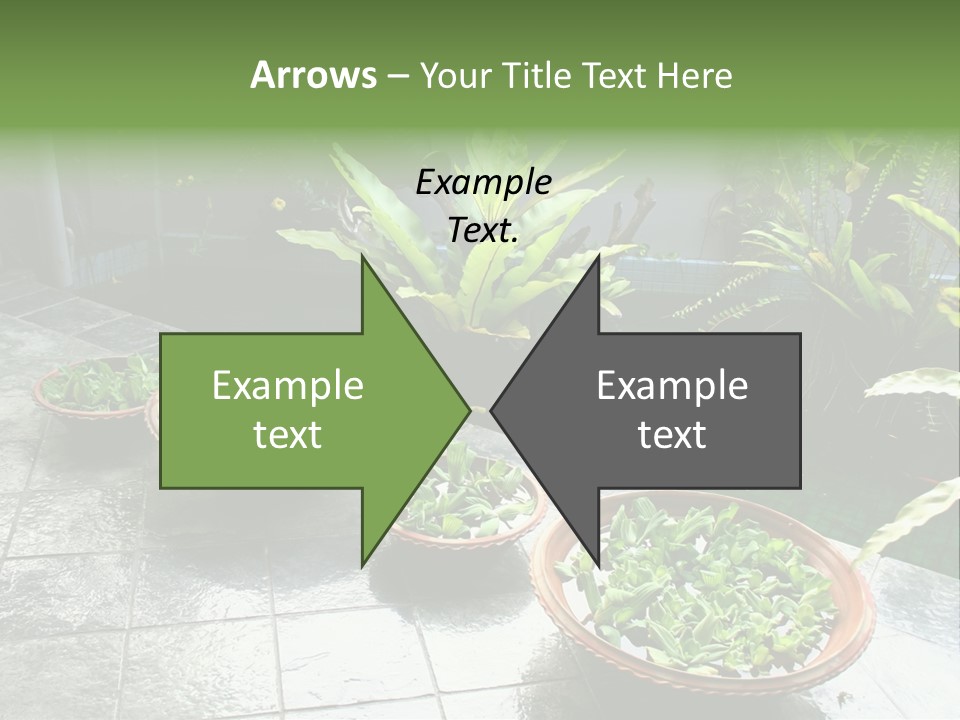 Pot With Floating Plants In Balinese Architectural Style PowerPoint Template