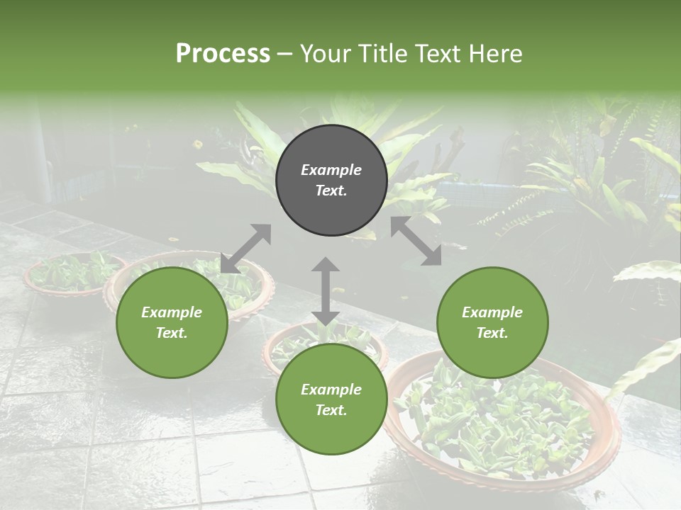 Pot With Floating Plants In Balinese Architectural Style PowerPoint Template