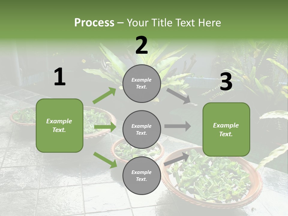 Pot With Floating Plants In Balinese Architectural Style PowerPoint Template