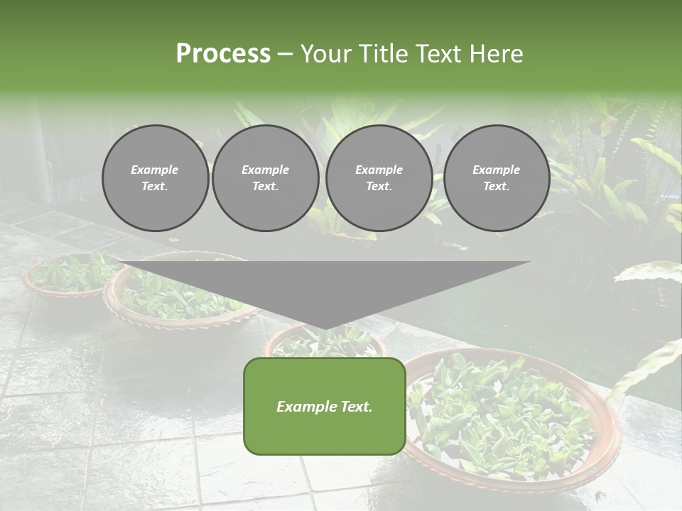 Pot With Floating Plants In Balinese Architectural Style PowerPoint Template