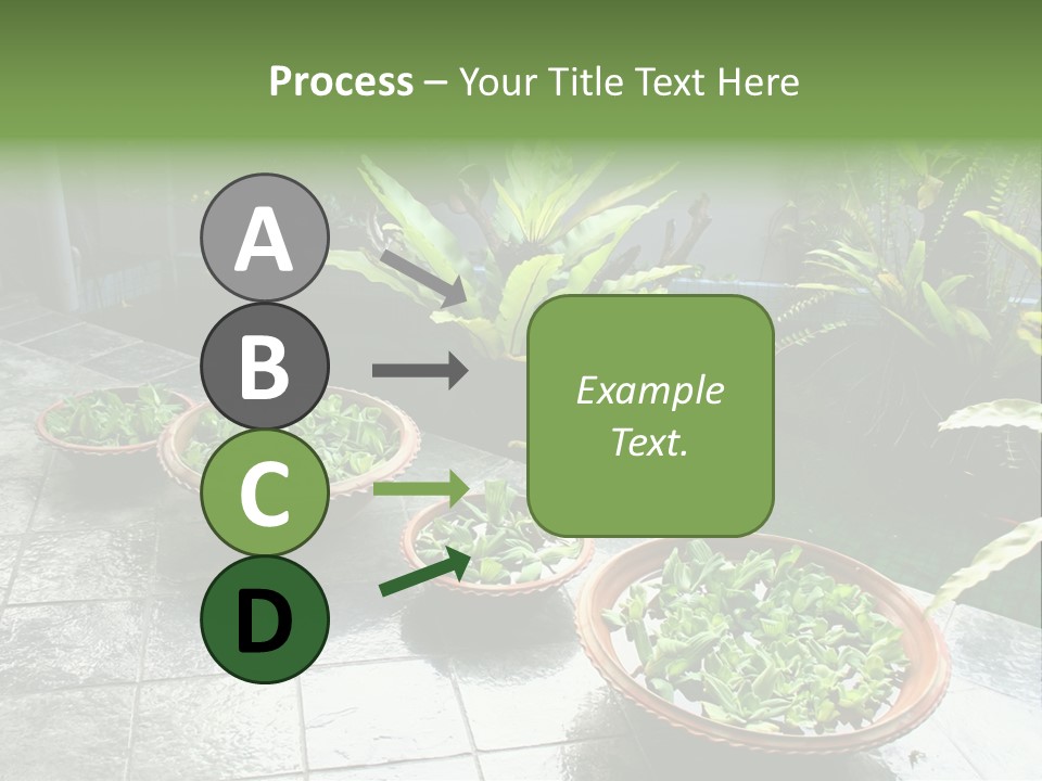 Pot With Floating Plants In Balinese Architectural Style PowerPoint Template