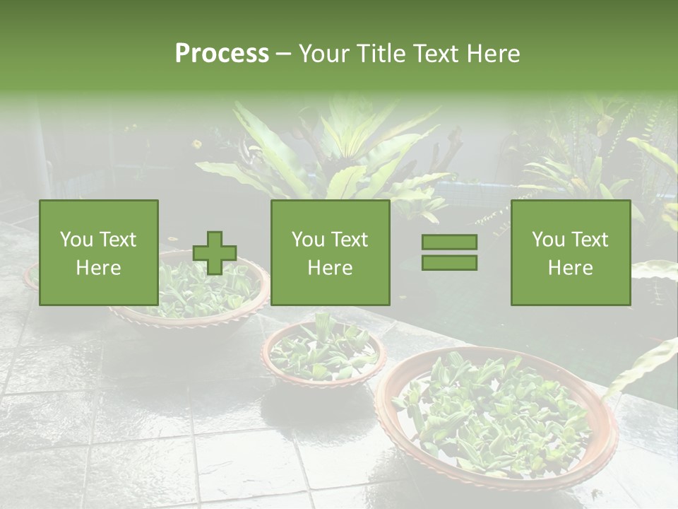 Pot With Floating Plants In Balinese Architectural Style PowerPoint Template