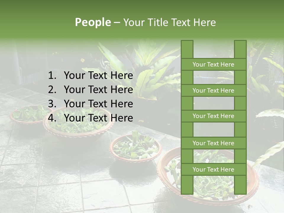 Pot With Floating Plants In Balinese Architectural Style PowerPoint Template