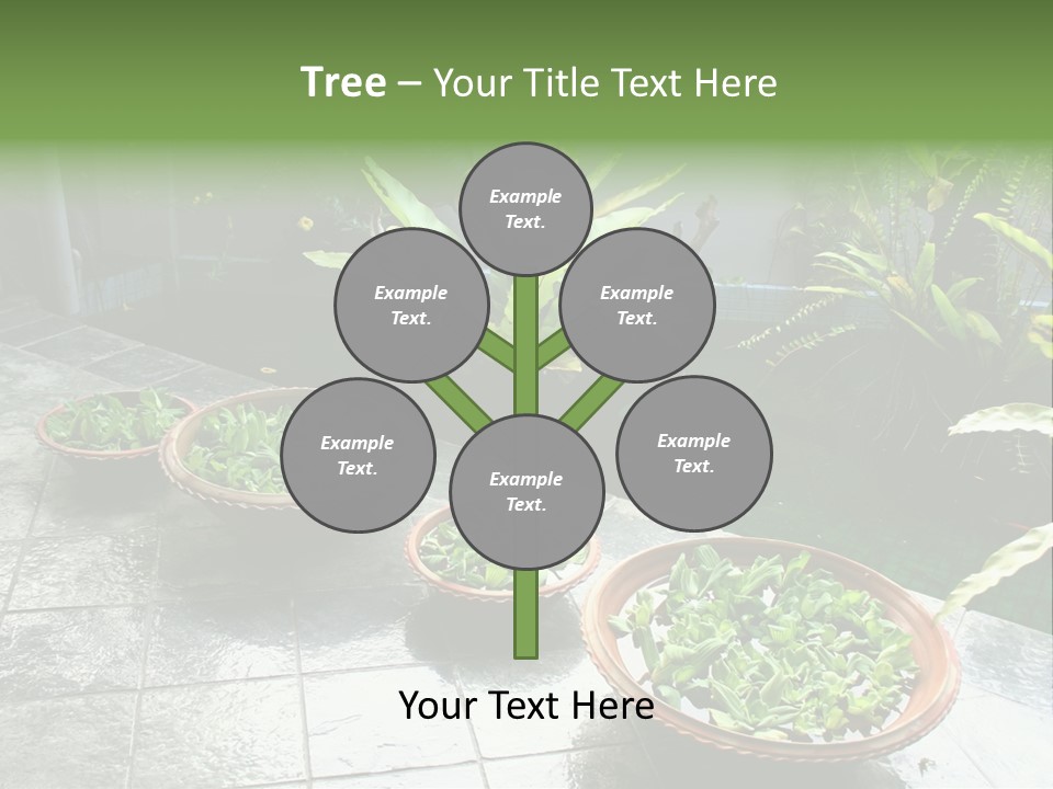 Pot With Floating Plants In Balinese Architectural Style PowerPoint Template