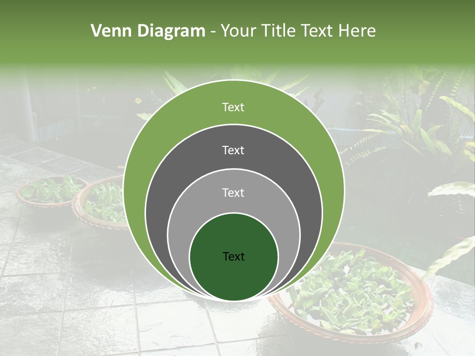 Pot With Floating Plants In Balinese Architectural Style PowerPoint Template