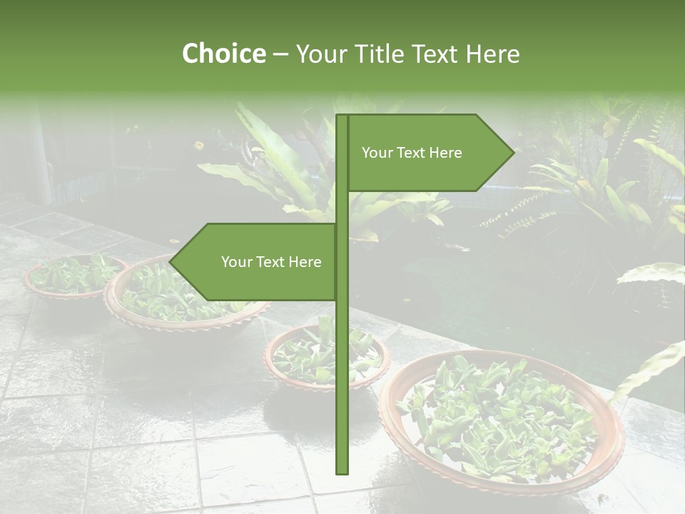 Pot With Floating Plants In Balinese Architectural Style PowerPoint Template