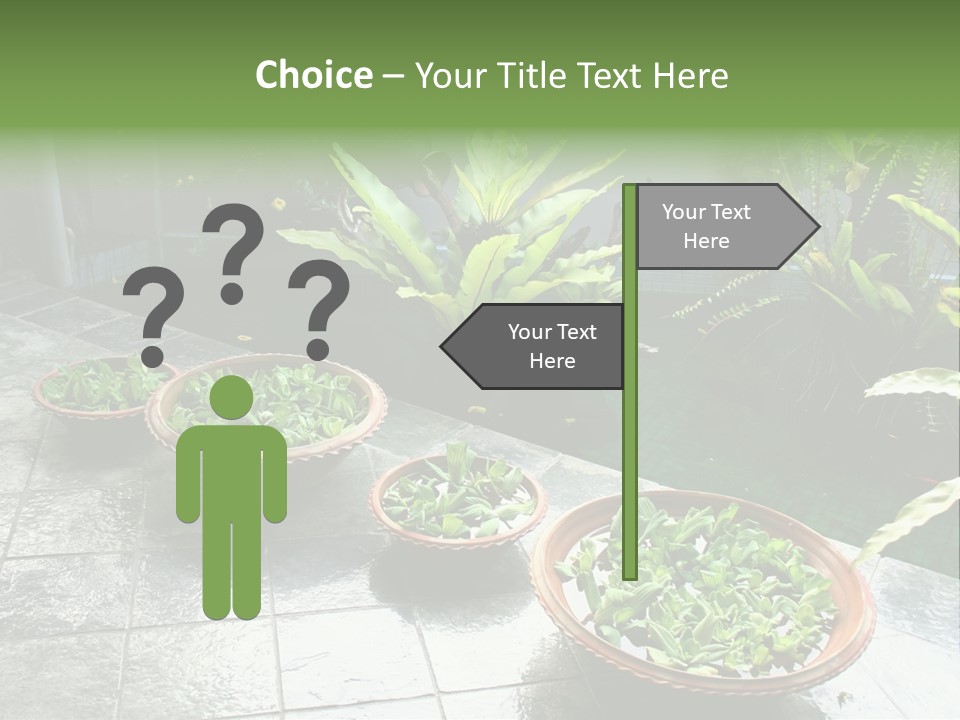 Pot With Floating Plants In Balinese Architectural Style PowerPoint Template