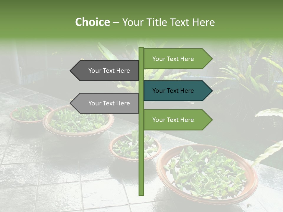 Pot With Floating Plants In Balinese Architectural Style PowerPoint Template