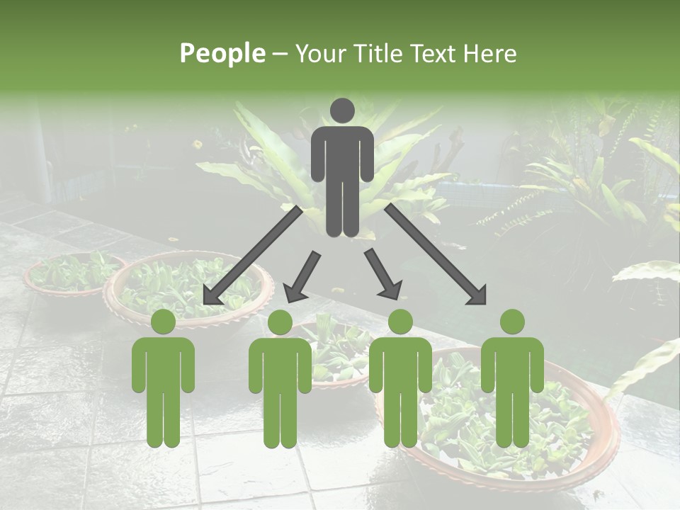 Pot With Floating Plants In Balinese Architectural Style PowerPoint Template