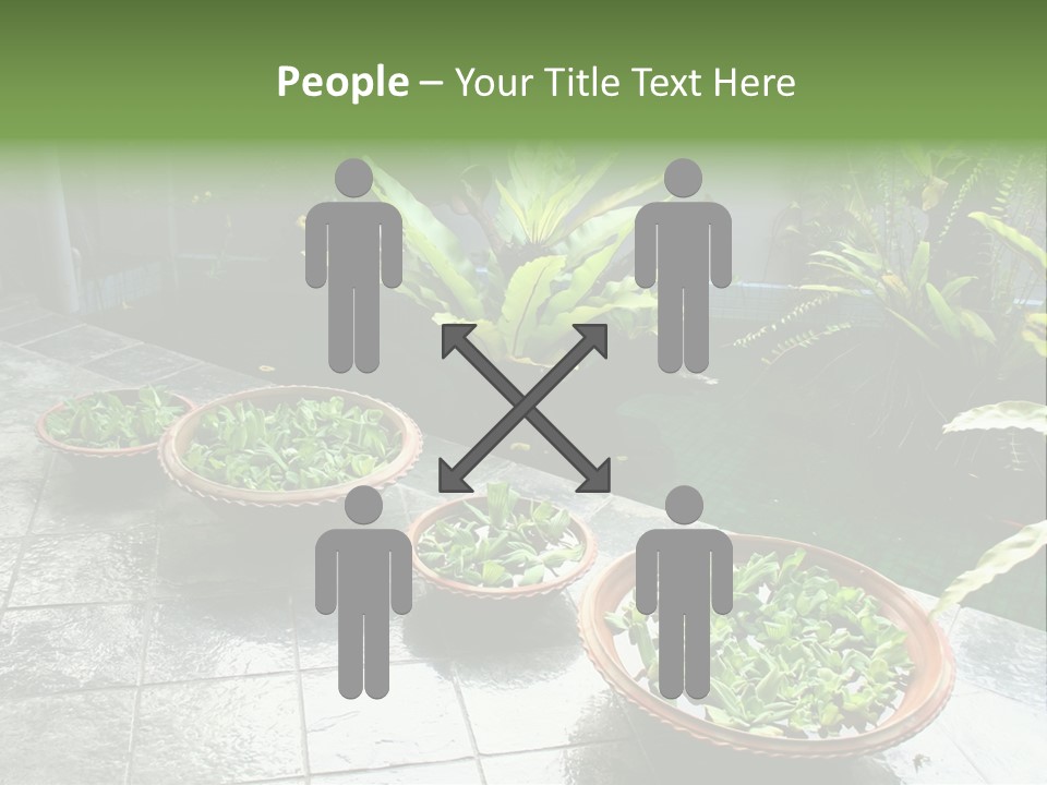 Pot With Floating Plants In Balinese Architectural Style PowerPoint Template