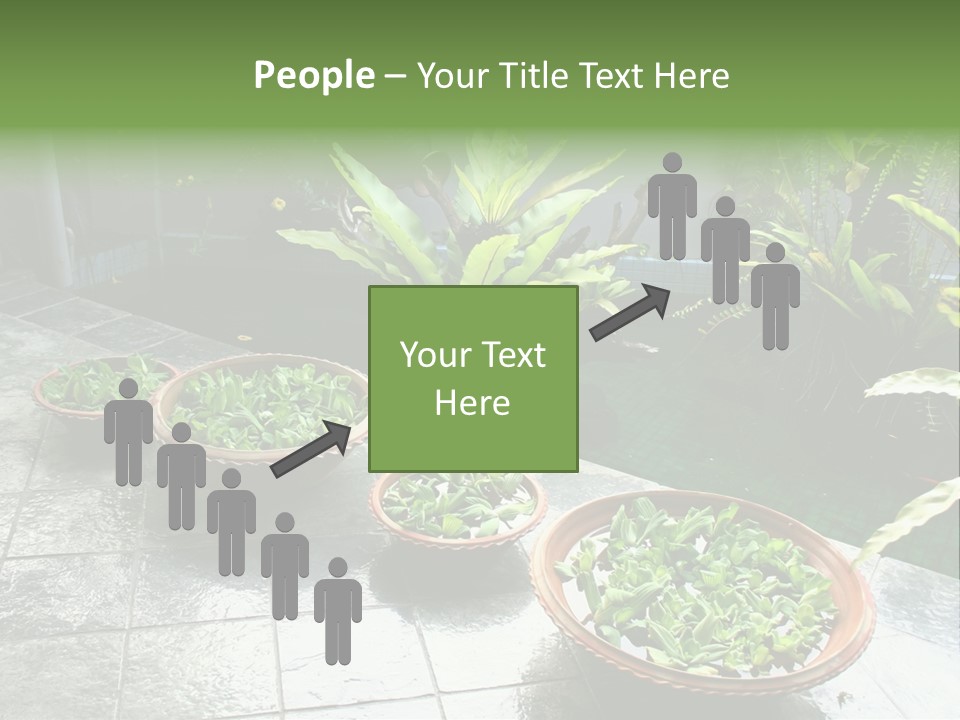 Pot With Floating Plants In Balinese Architectural Style PowerPoint Template