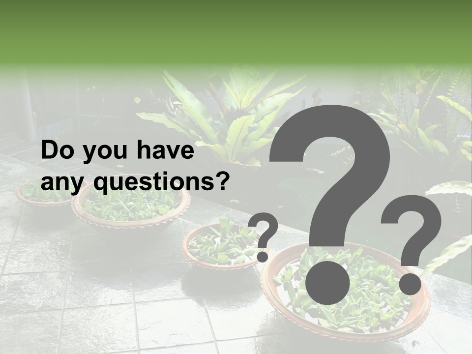 Pot With Floating Plants In Balinese Architectural Style PowerPoint Template