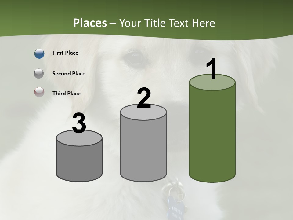 Golden Retriever Puppy PowerPoint Template