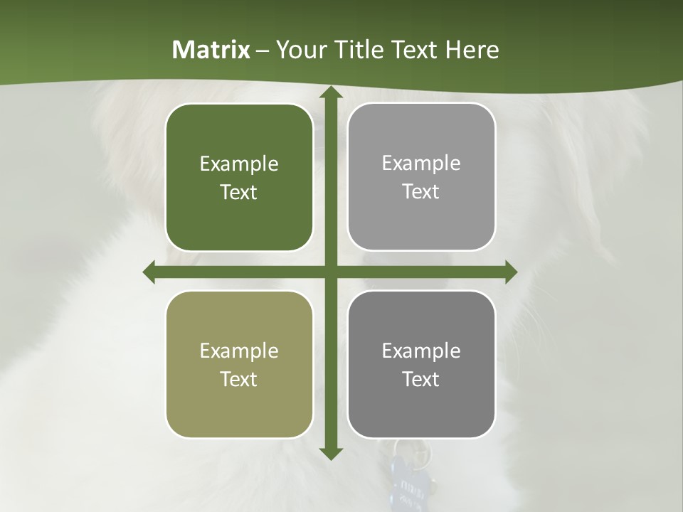 Golden Retriever Puppy PowerPoint Template