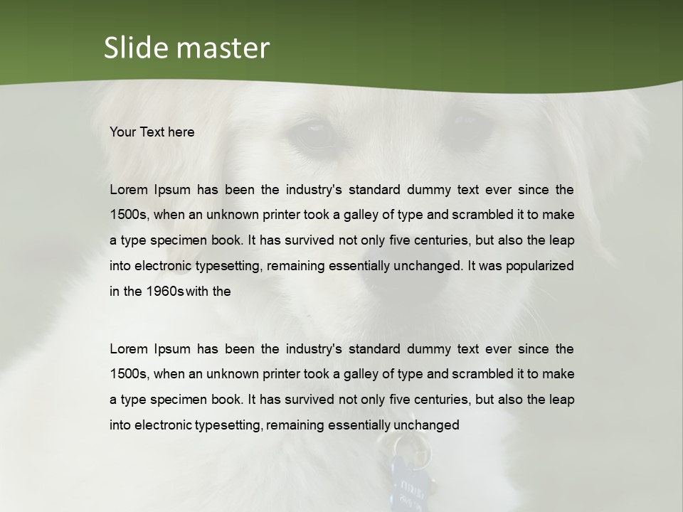 Golden Retriever Puppy PowerPoint Template