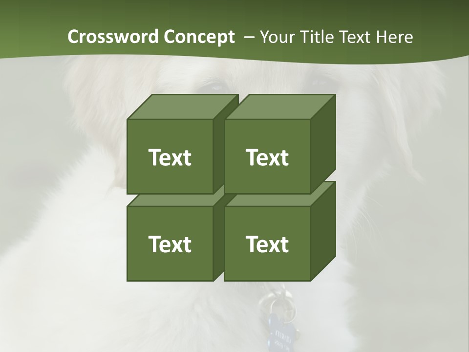 Golden Retriever Puppy PowerPoint Template